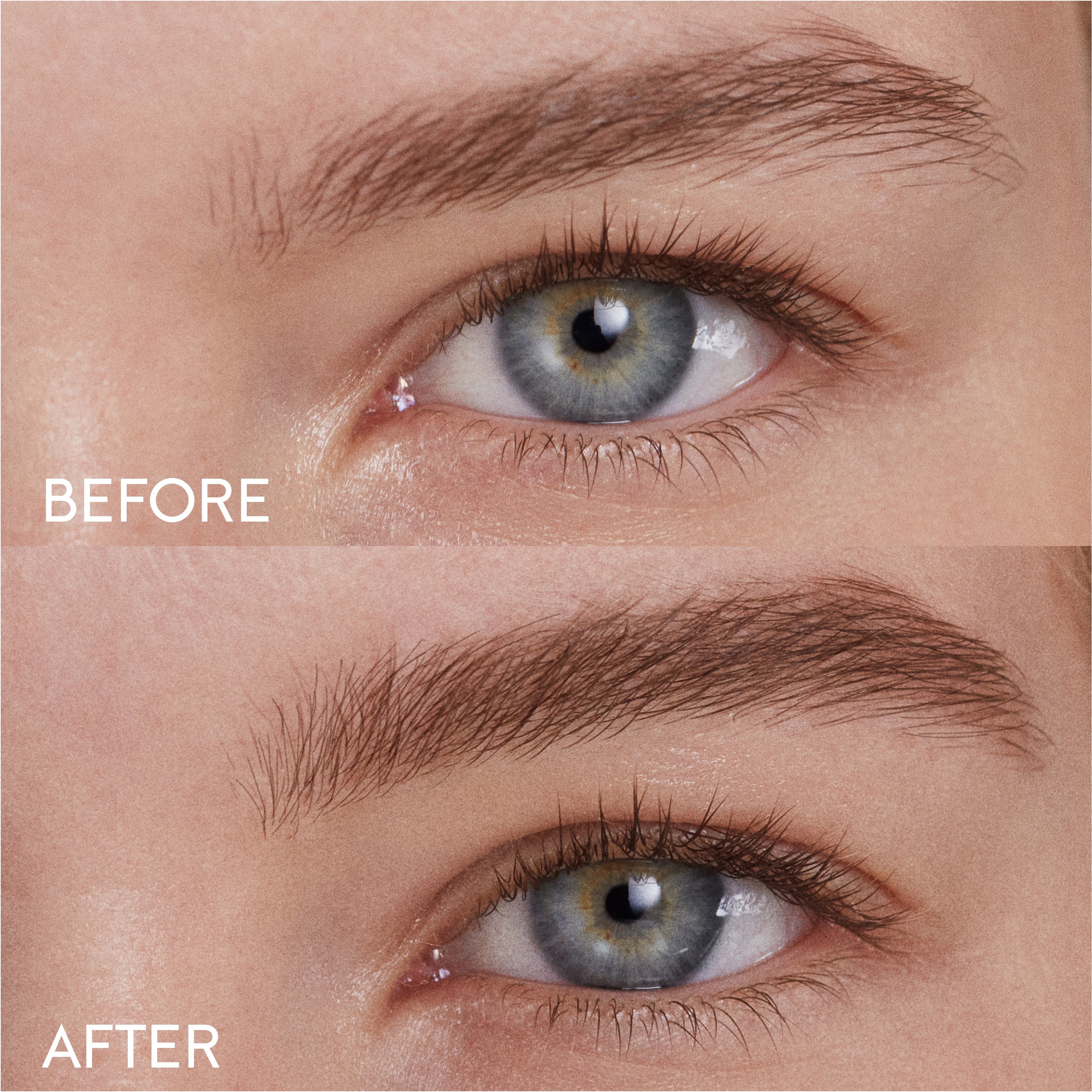 Brow Pencil / Medium Brown