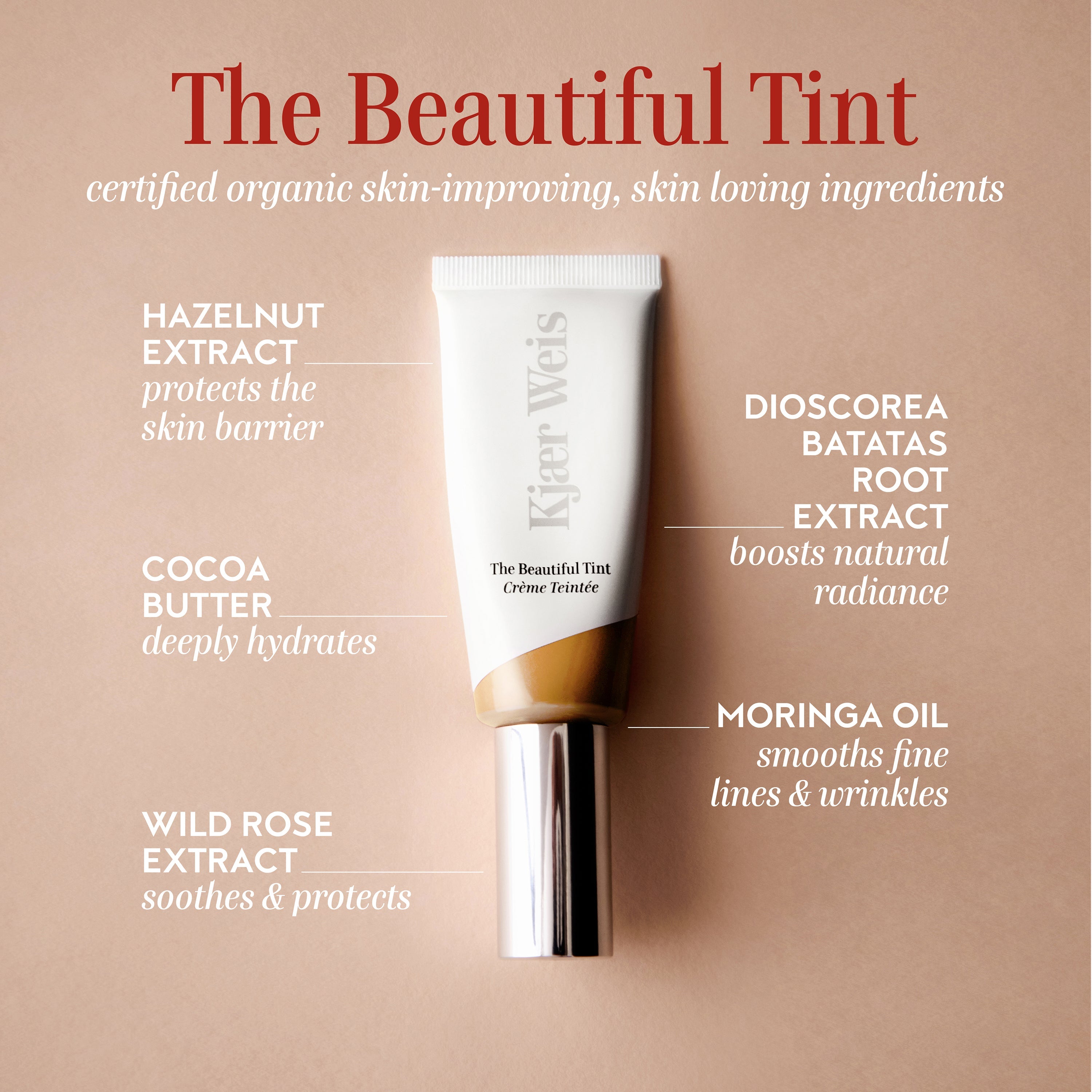 The Beautiful Tint / Medium 4