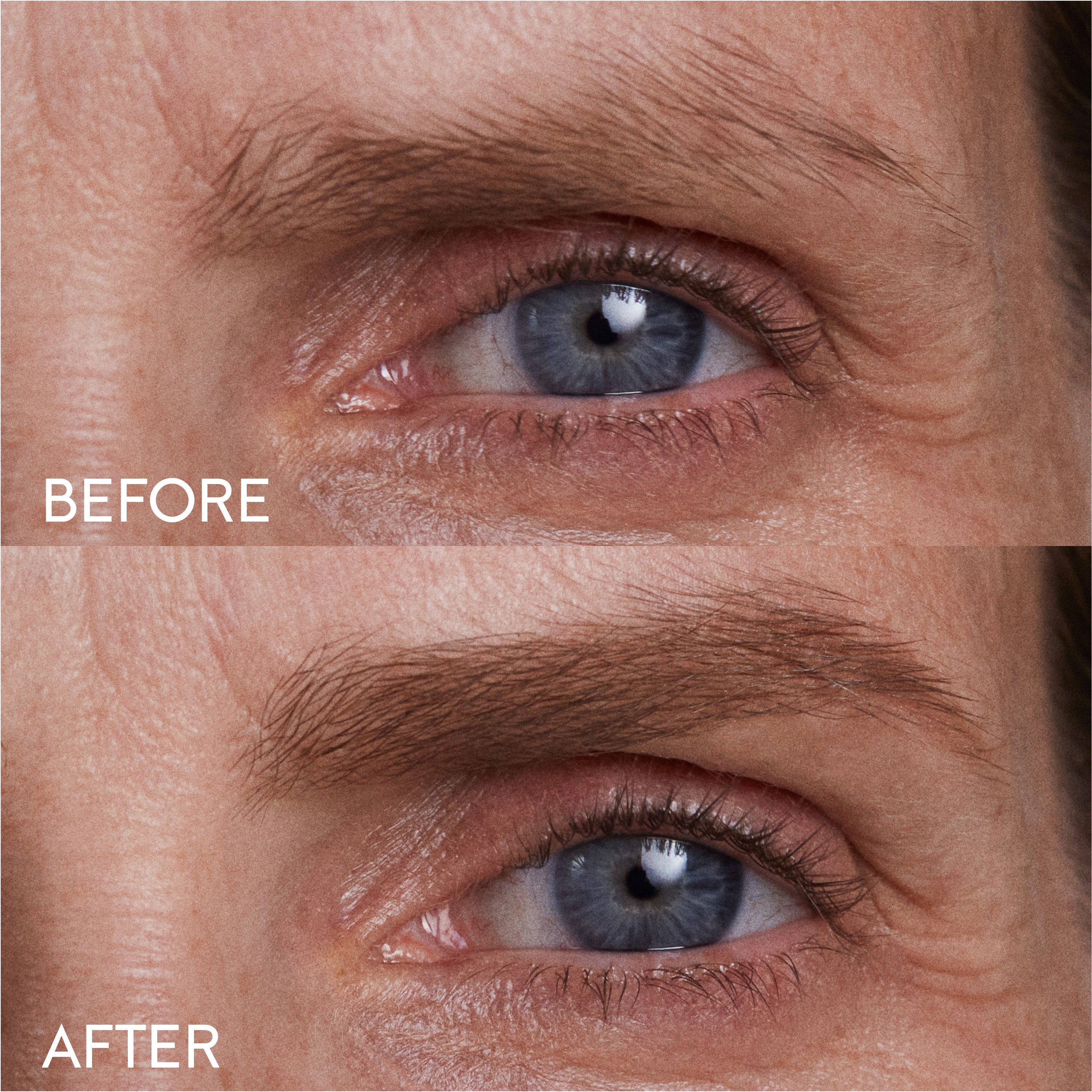 Brow Pencil / Blonde